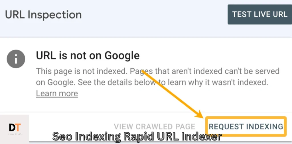 seo-indexing-rapid-url-indexer