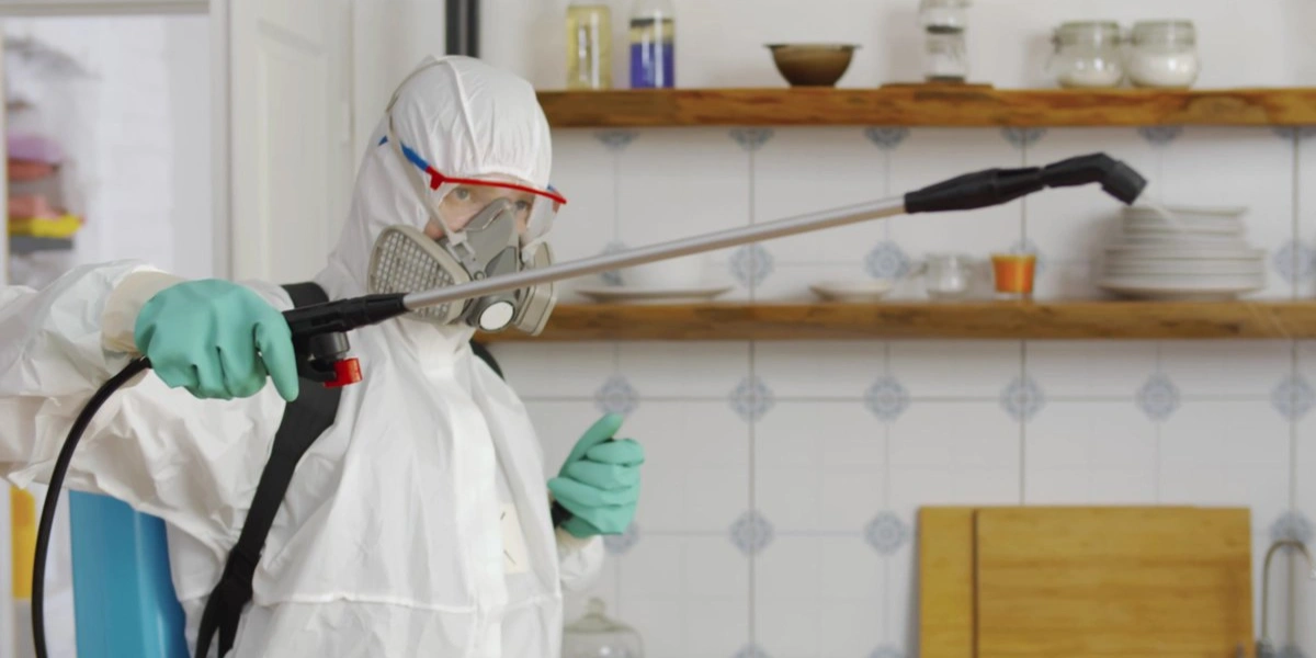 commercial-exterminators-in-maintaining-a-healthy-workplace