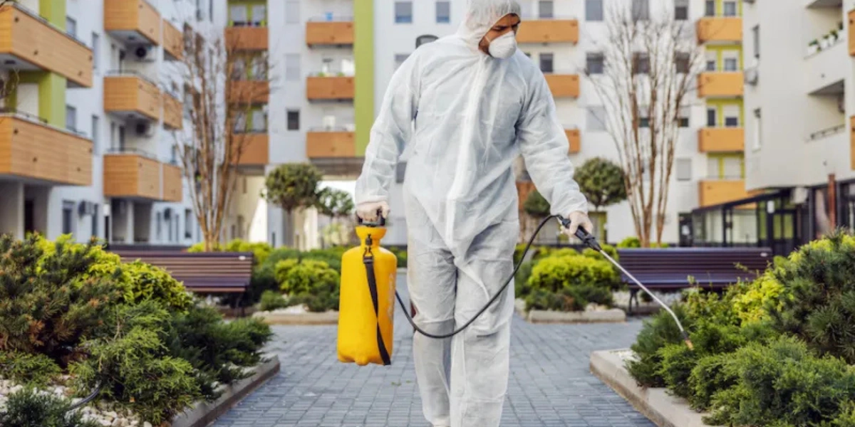 commercial-exterminators-in-maintaining-a-healthy-workplace