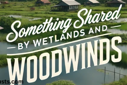something-shared-by-wetlands-and-woodwinds